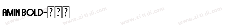 Amin Bold字体转换